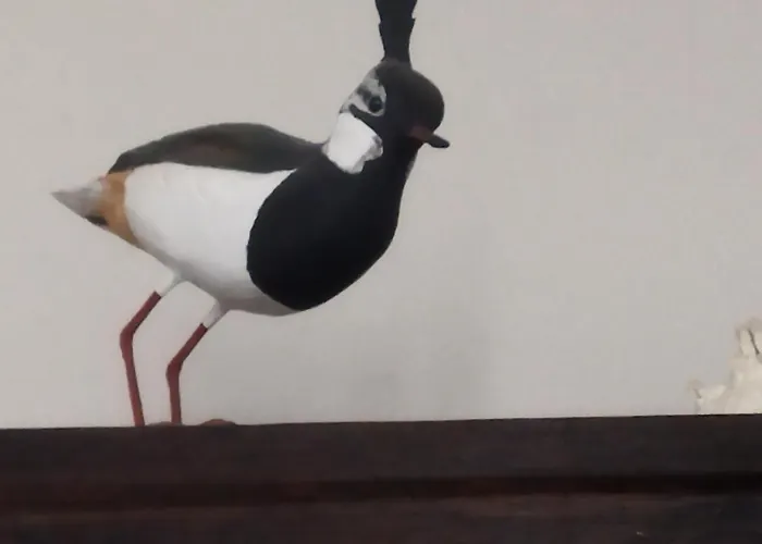 Bed & Breakfast La Ryps Saint-Valery-sur-Somme